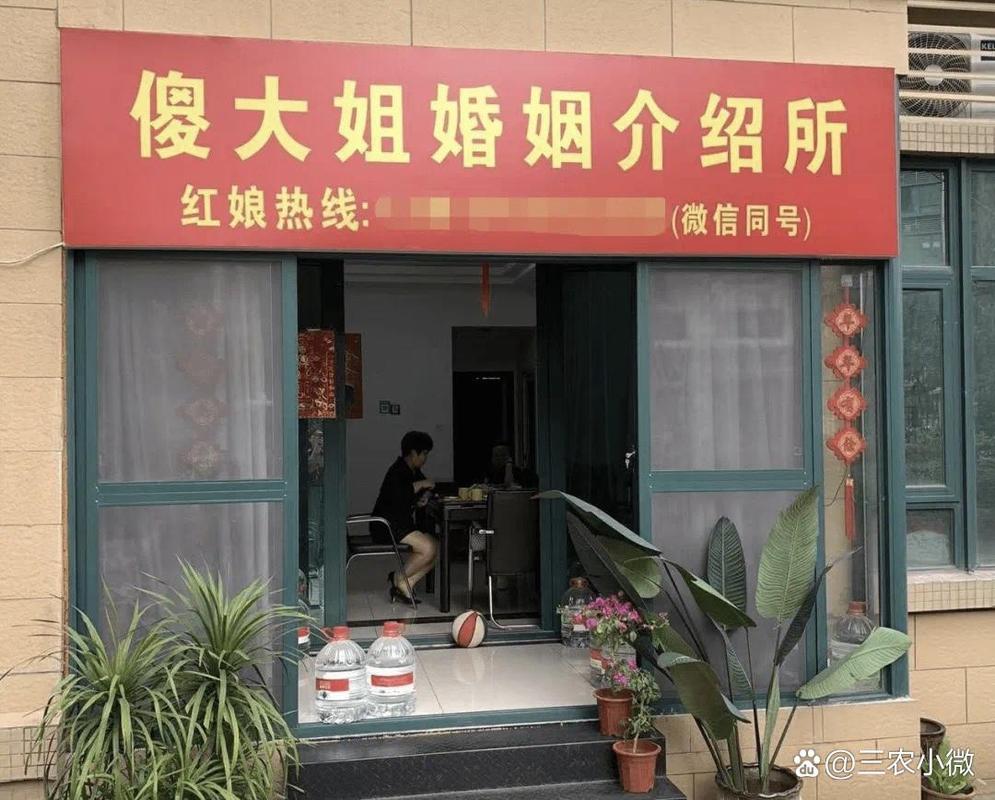 5大冷门暴利行业 婚姻介绍所,宠物服务,高端水果市场,高端婚礼策划